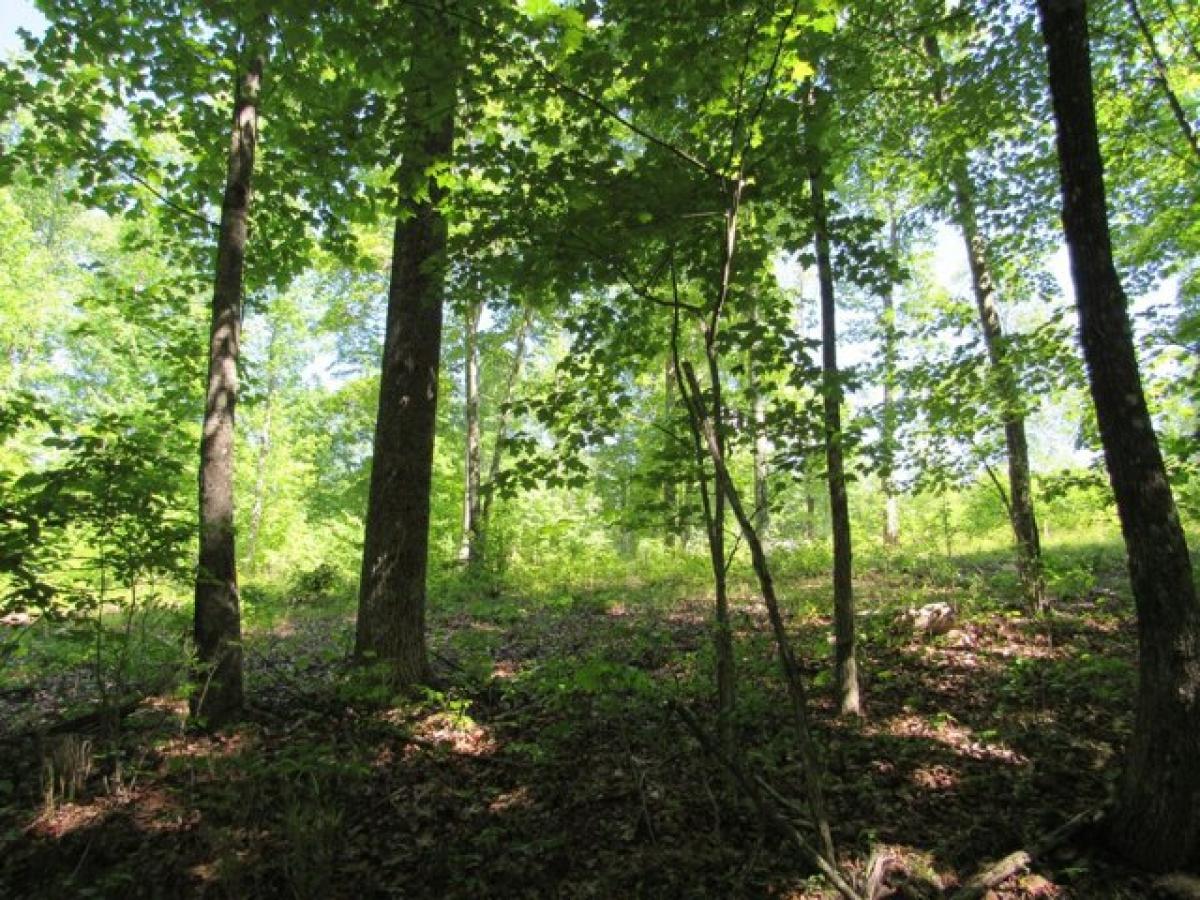  Land in Jasper, USA No. 490399