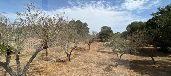 8-Zimmer Haus in Ostuni, Italy, Nr. 23791 6