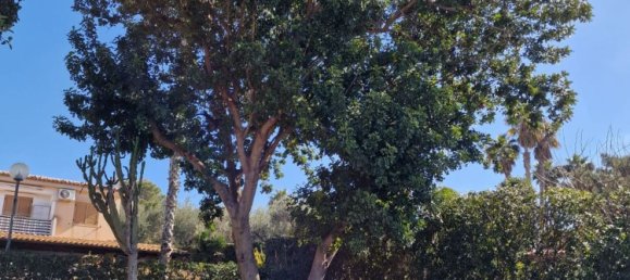 5 chambres Maison à Ragusa, Italy No. 327150 4