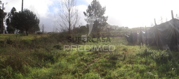 Terreno em Pousa, Portugal N.º 157237 32