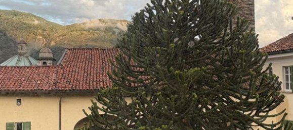 Duplex T3 em Cannobio, Italy N.º 310703 17