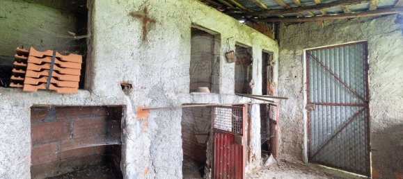 Casa de 5 dormitorios en Castanheira de Pera, Portugal No. 29516 19