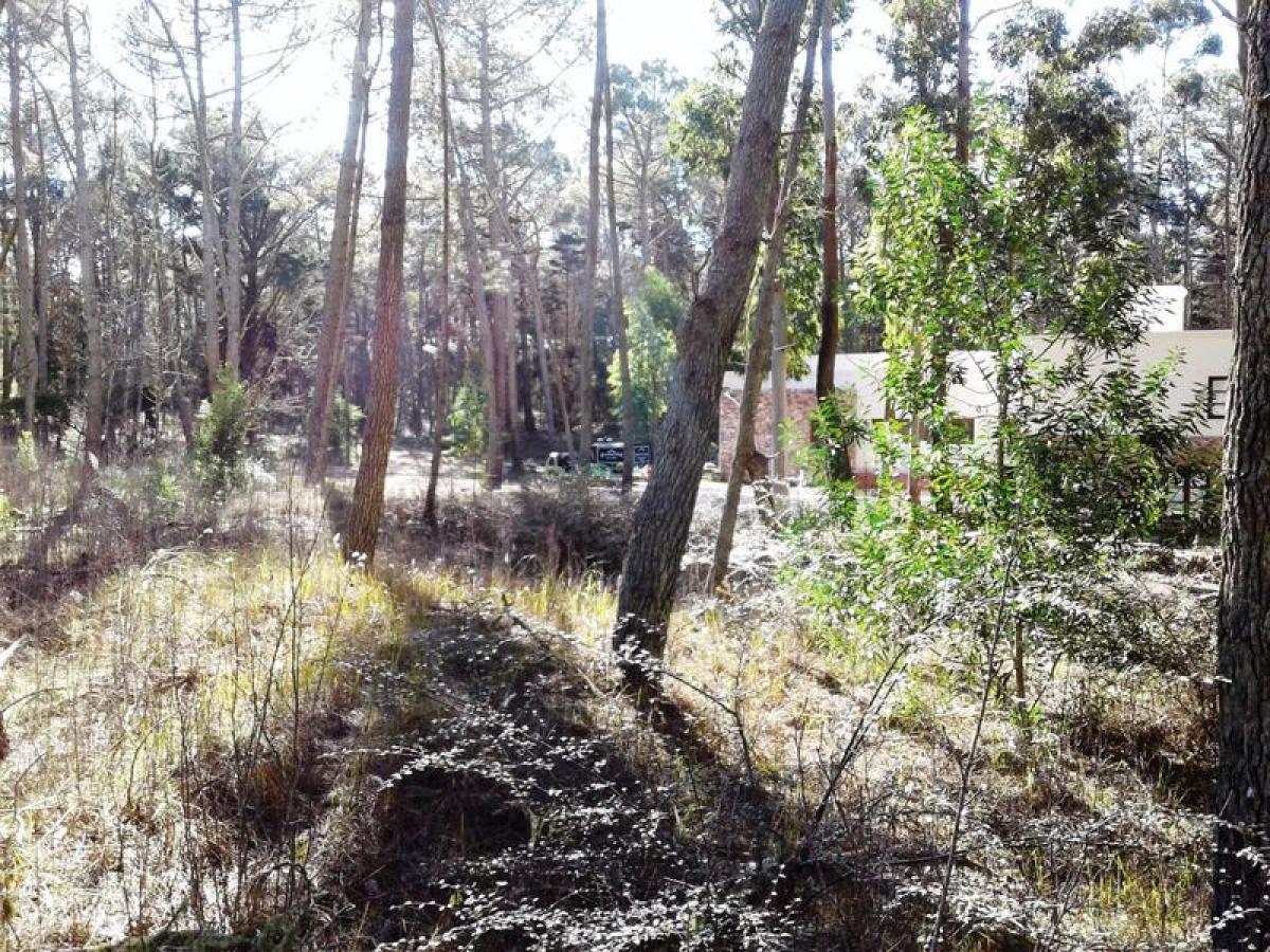  Land in Mar del Plata, Argentina No. 114958