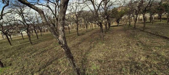 Земельный участок 1200м² в Кастель Сан Джорджо, Италия № 28999 5