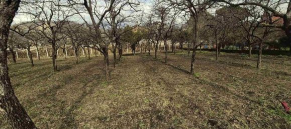 Земельный участок 1200м² в Кастель Сан Джорджо, Италия № 28999 4