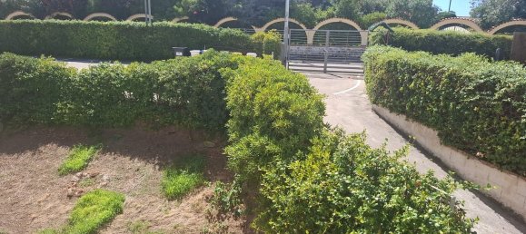 3 bedrooms Apartment in Cellole, Italy No. 340213 14