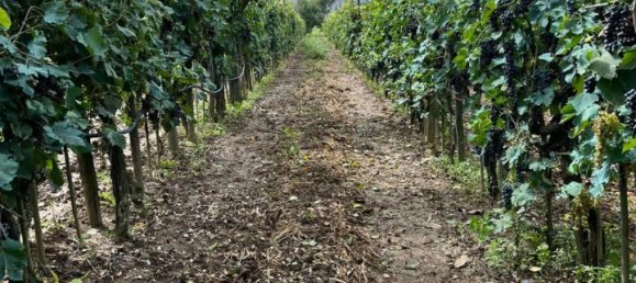 Terreno en Prato, Italy 3900 m² No. 102324 3