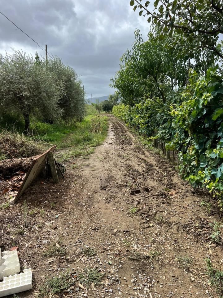 Terreno en Prato, Italy 3900 m² No. 102324