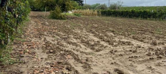 Terreno en Prato, Italy 3900 m² No. 102324 7