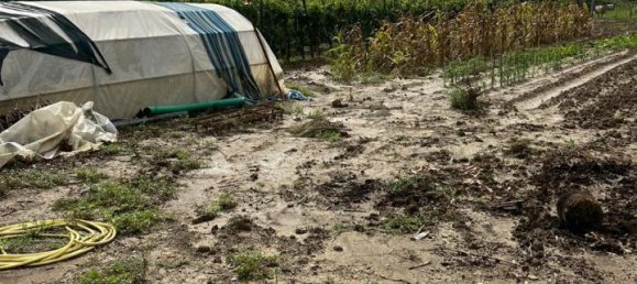 Terreno en Prato, Italy 3900 m² No. 102324 2