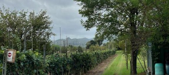 Terreno en Prato, Italy 3900 m² No. 102324 9