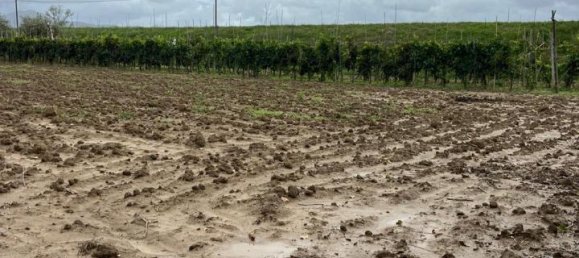 Terreno en Prato, Italy 3900 m² No. 102324 10