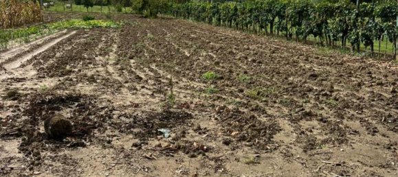 Terreno en Prato, Italy 3900 m² No. 102324 11