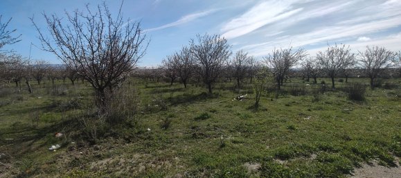 1 bedroom House in Baza, Spain No. 32761 12