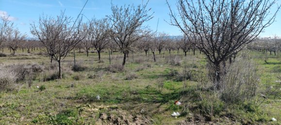 1 bedroom House in Baza, Spain No. 32761 14