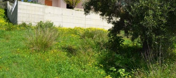  فندق في Heraklion, Greece 1250متر مربع رقم 5043 3