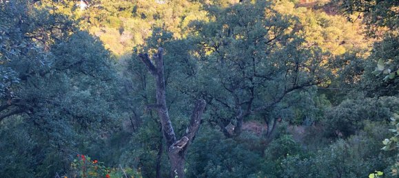  Land in Marbella, Spain No. 81288 14