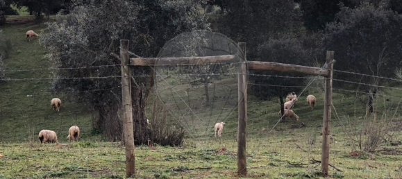 6 غرف نوم منزل في Monte do Trigo, Portugal رقم 54497 6