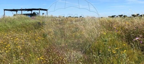 6 غرف نوم منزل في Monte do Trigo, Portugal رقم 54497 2