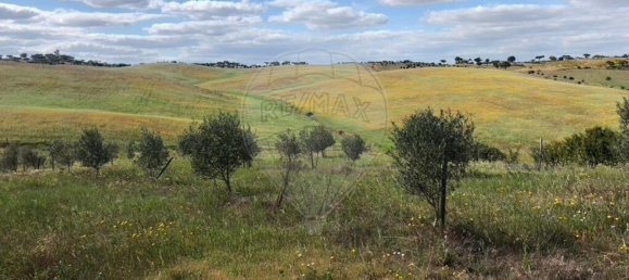 6 غرف نوم منزل في Monte do Trigo, Portugal رقم 54497 14