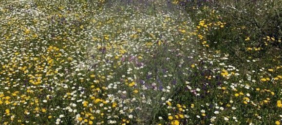 6 غرف نوم منزل في Monte do Trigo, Portugal رقم 54497 4