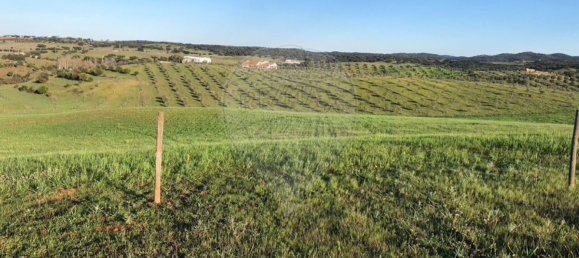 6 غرف نوم منزل في Monte do Trigo, Portugal رقم 54497 15