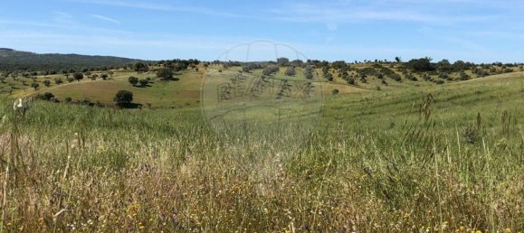 6 غرف نوم منزل في Monte do Trigo, Portugal رقم 54497 10