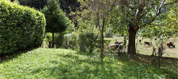 3 rooms Apartment in Premia, Italy No. 77482 4