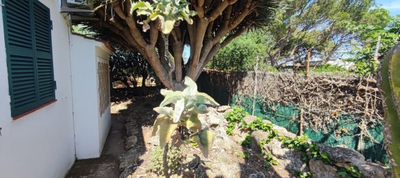 Дом с 3 спальнями в Кала Бланка, Испания № 164402 6