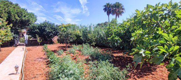 Дом с 3 спальнями в Кала Бланка, Испания № 164402 27