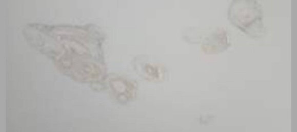 Apartamento T3 em Albisola Superiore, Italy N.º 316462 22