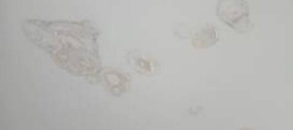 Apartamento T3 em Albisola Superiore, Italy N.º 316462 6