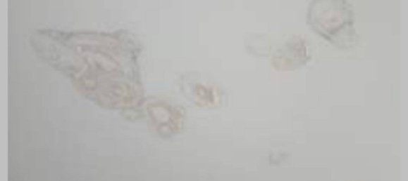 Apartamento T3 em Albisola Superiore, Italy N.º 316462 14