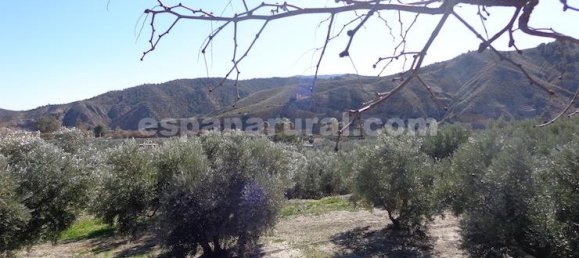 3 غرف نوم فيلا في Armuna De Almanzora, Spain رقم 287802 4