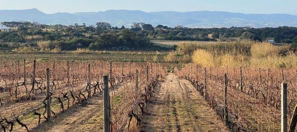 2غرفة شقة في Badesi, Italy رقم 64054 14