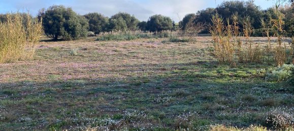 2غرفة شقة في Badesi, Italy رقم 64054 12