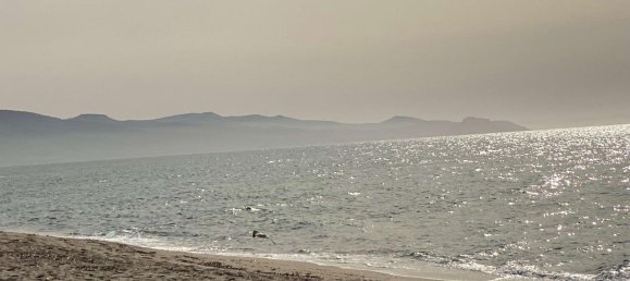 2غرفة شقة في Badesi, Italy رقم 64054 19