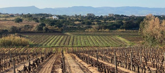 2غرفة شقة في Badesi, Italy رقم 64054 15