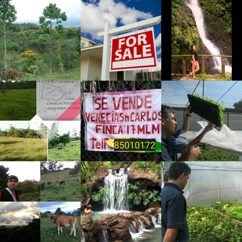 Terreno em San Ramon, Costa Rica N.º 1381