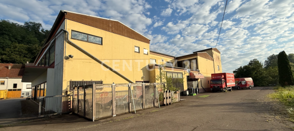 Gewerbliche Immobilie in Merzig-Wadern, Germany, Nr. 265373 6