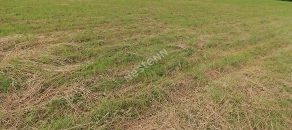 760m² Land in Amifontaine, France No. 70139 2