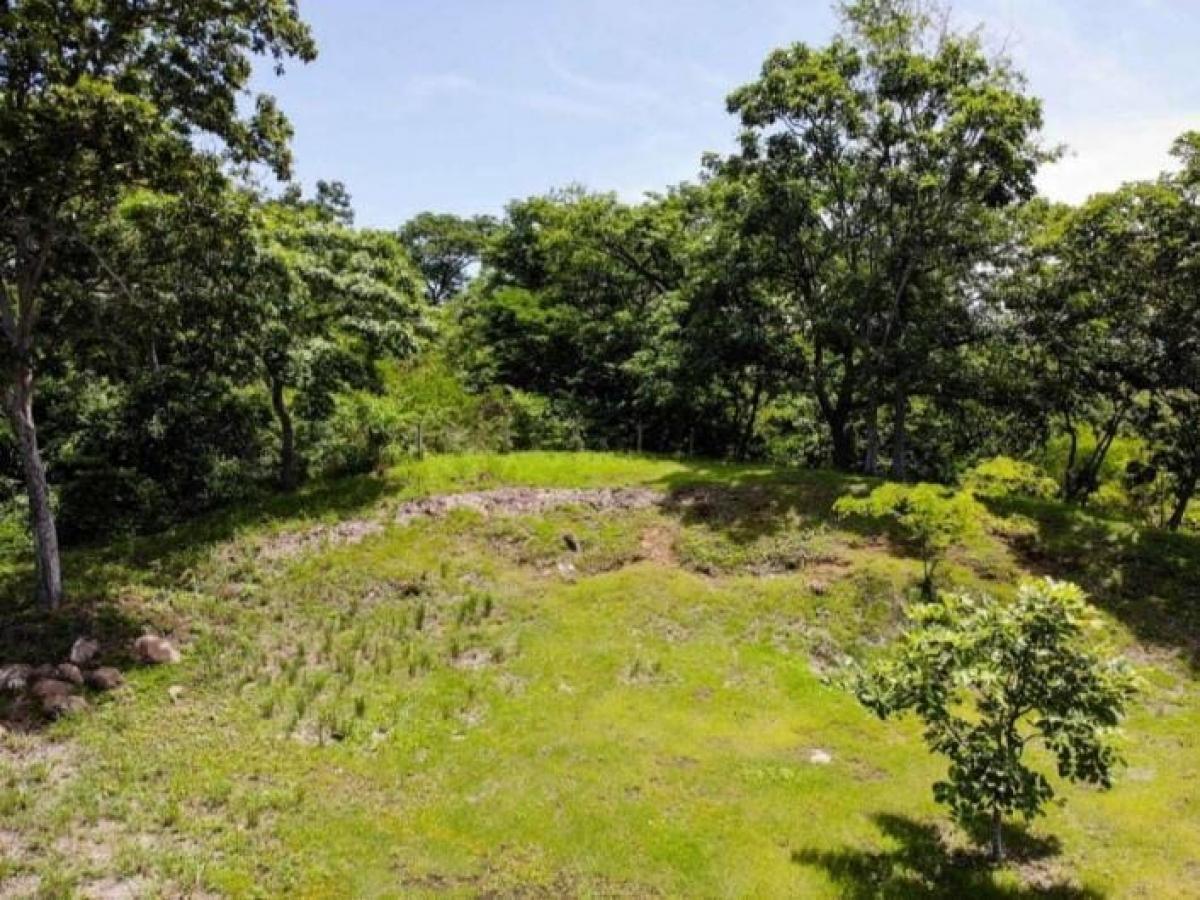 5 bedrooms House in Santa Cruz, Costa Rica No. 880