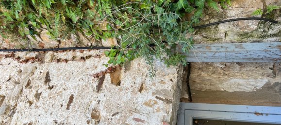 4 Schlafzimmer Haus in Palafrugell, Spain, Nr. 183223 6