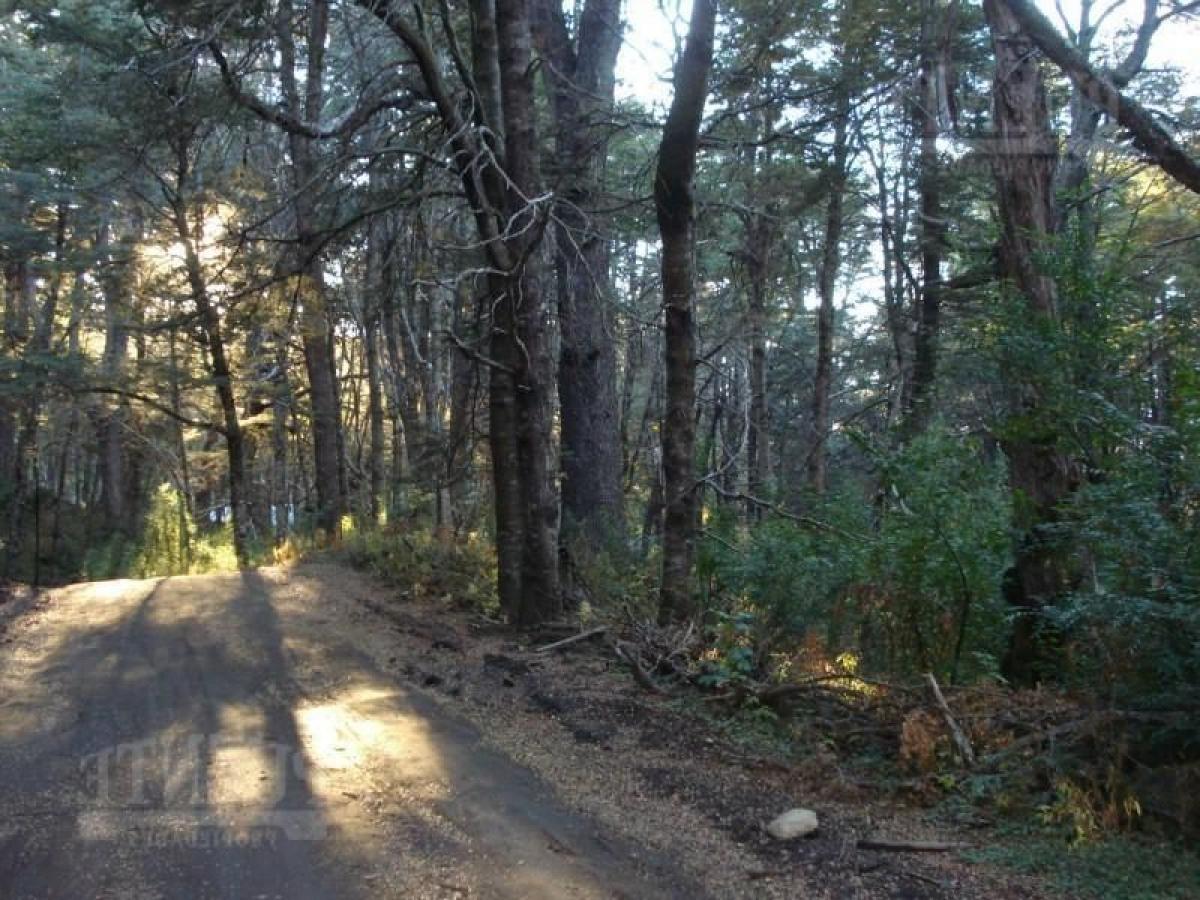  Land in Neuquen, Argentina No. 42223
