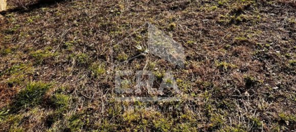  Land in Tarare, France No. 200105 4