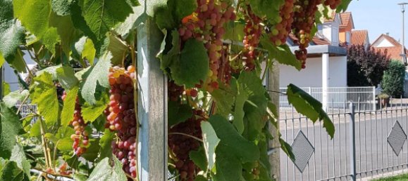 3 bedrooms Bungalow in Kitzingen, Germany No. 224137 8