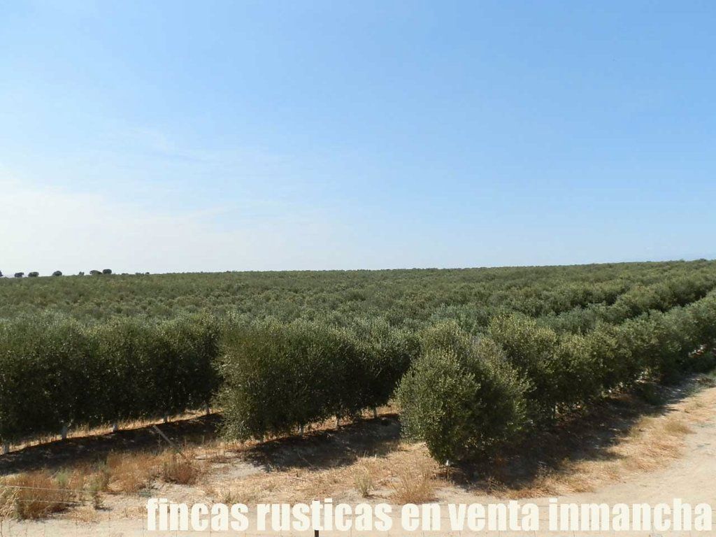  قطعة أرض في Talavera De La Reina, Spain 200000متر مربع رقم 278207