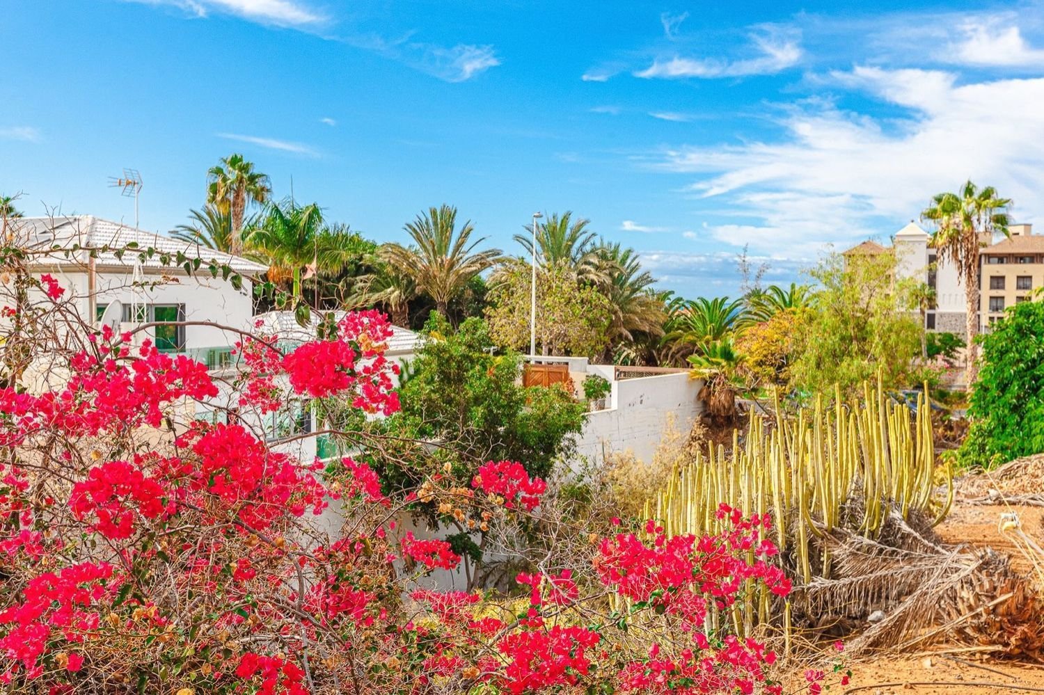 Таунхаус с 3 спальнями в Адехе, Испания № 62201