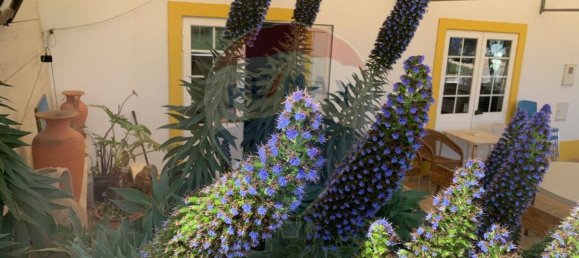 3 bedrooms House in Vila do Bispo, Portugal No. 157724 26