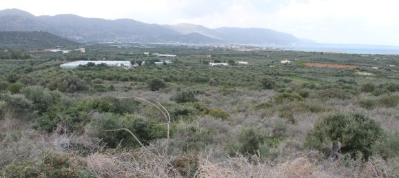 Отель, гостиница 153м² в Ласитион, Крит, Греция № 5258 5